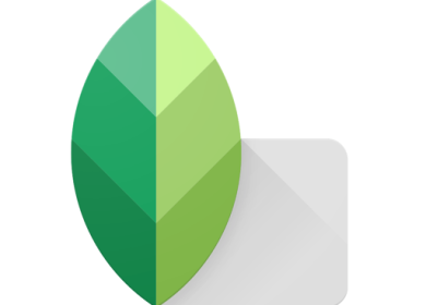 Запуск Snapseed на компьютере