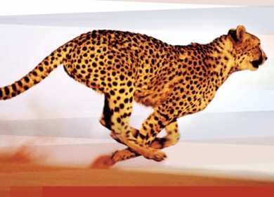 FullThrottle. Еще один разгонщик для Windows