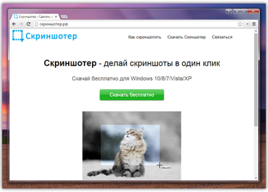 Скриншотер – удобный и минималистичный инструмент для создания скриншотов