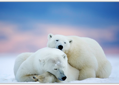 Широкоформатные обои для Windows #15