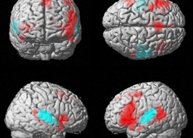 Какое из полушарий Вашего мозга доминирует больше?