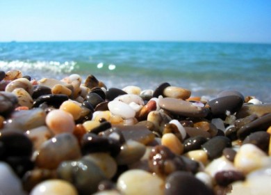 Как сделать звуки природы частью вашего дня