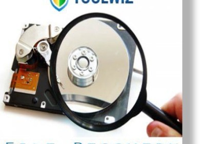 Краткий обзор утилиты Toolwiz File Recovery, восстановления удаленных файлов