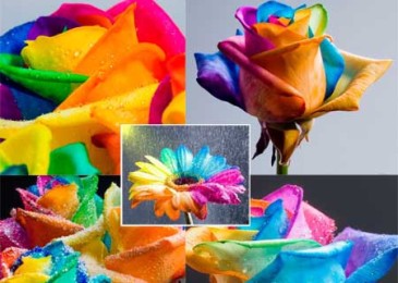 Как преобразовать файл