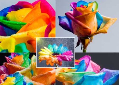 Как преобразовать файл