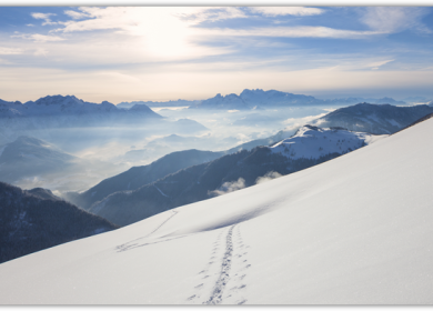 Обои из Windows 10 Build 9901