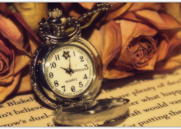 Избранные статьи за 2014 год и поздравления от нашего сайта