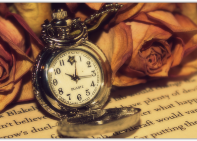 Избранные статьи за 2014 год и поздравления от нашего сайта