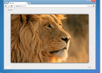 Dropi – хостинг изображений без рекламы и регистрации