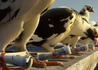 Главное что нужно знать о почтовых заголовках