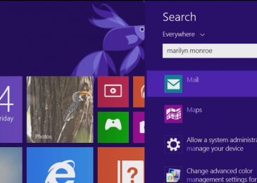 Как работает поиск в Windows 8.1